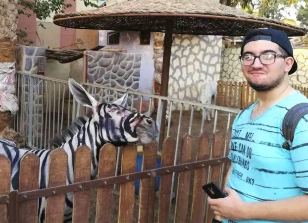 Un zoo pinta rayas a un burro para hacerlo pasar por una cebra