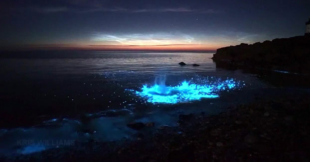 Las olas de la costa de Anglesey Island se vuelven de color azul eléctrico debido al plancton bioluminiscente