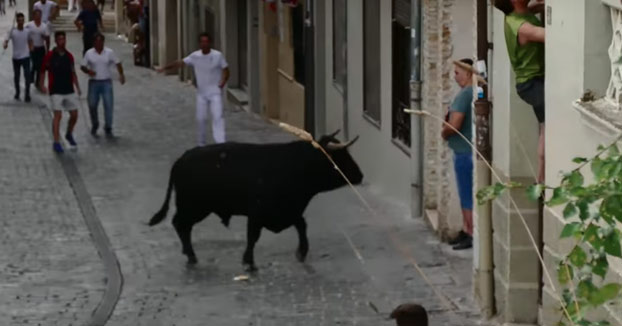 Un toro cornea varias veces a un hombre que grababa el encierro con una tablet en Navarra