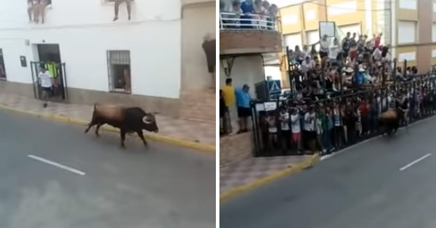 Un toro mata de una cornada a un joven en un encierro de Fernán Caballero, en Ciudad Real, cuando trataba de refugiarse