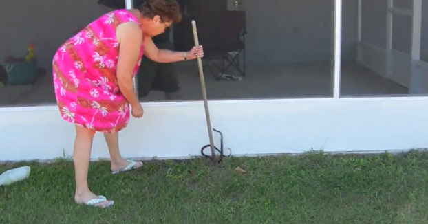 La abuela intentando atrapar una serpiente en el jardín...