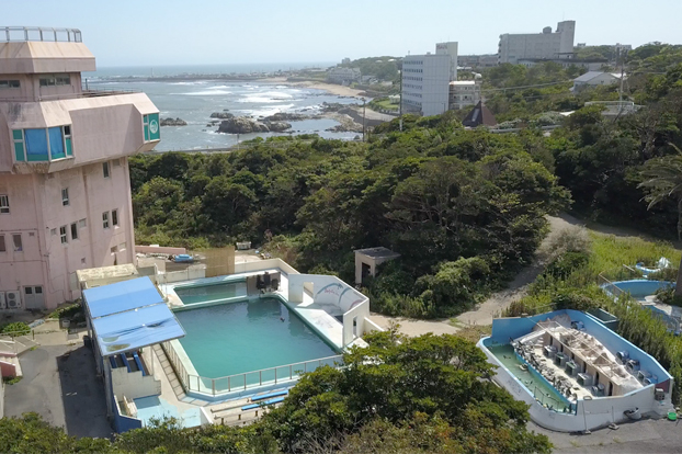 Este delfín lleva siete meses viviendo solo en el estanque de un acuario abandonado en Japón