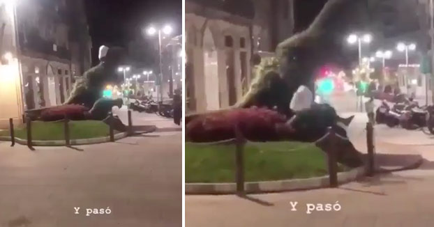 Se busca al gamberro que dañó al Dinoseto y su cría en Vigo [Vídeo]