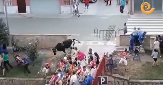 Dos heridos por un toro que se sale de su recorrido en Alcorisa, Teruel. Vídeo de los momentos