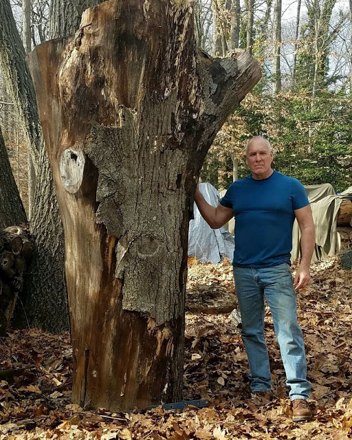 Estatua de madera de Arnold Schwarzenegger a tamaño real