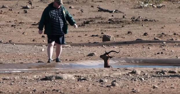 Un turista salva a un antílope que estaba atrapado en un pozo de barro