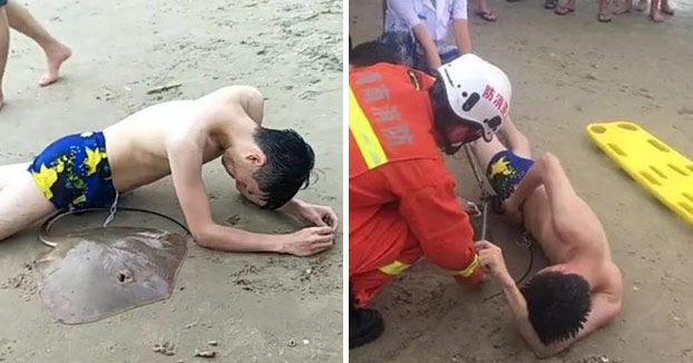 Una raya le pica a un hombre en los genitales mientras nadaba en la playa y la criatura todavía está enganchada cuando llega la ayuda