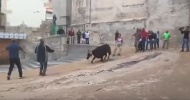 Una vaquilla enmaromada grita de dolor mientras intenta escapar de un festejo en Cuenca