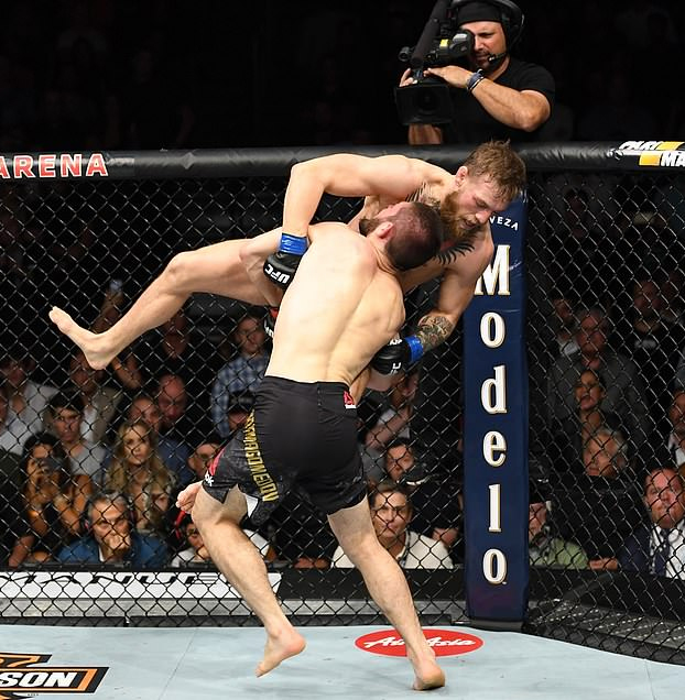 Khabib desata una batalla campal después de vencer a McGregor en el UFC 229. Vídeo del incidente