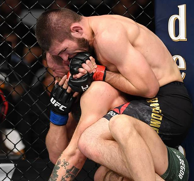 Khabib desata una batalla campal después de vencer a McGregor en el UFC 229. Vídeo del incidente