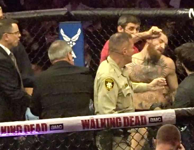 Khabib desata una batalla campal después de vencer a McGregor en el UFC 229. Vídeo del incidente