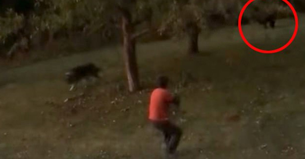 Una mujer graba como su marido dispara a un oso que iba directo hacia él