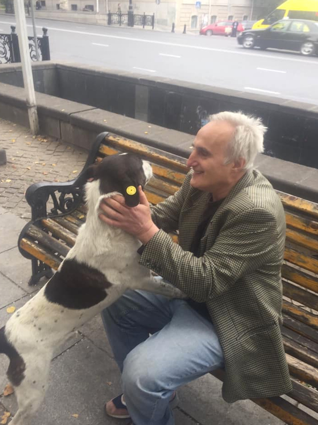 Un perro llora al reencontrarse con su dueño tras pasar varios años en la calle