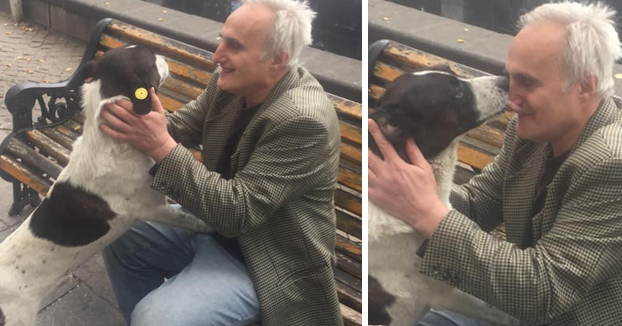 Un perro llora al reencontrarse con su dueño tras pasar varios años en la calle