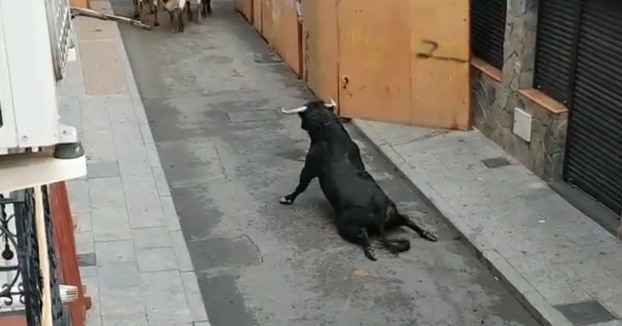 Un toro se rompe las patas nada más salir del cajón durante los encierros de Mejorada del Campo