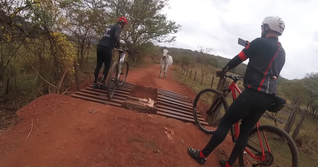 Unos ciclistas intentan espantar a un toro que no les quería dejar pasar por el camino