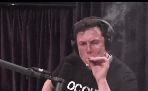 elon musk smoking gif download