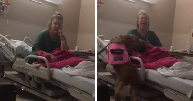 Reacción de una mujer que lleva 4 meses ingresada en el hospital al volver a ver a su perro