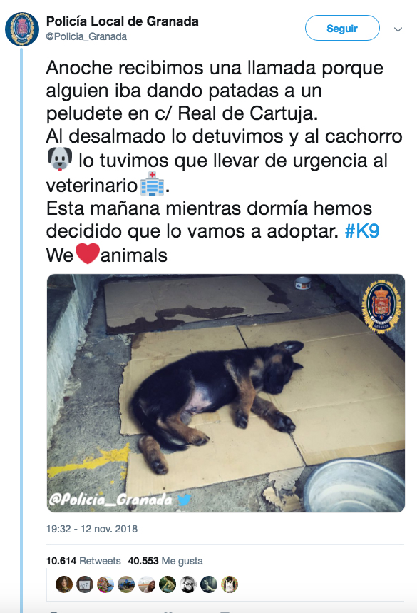 La policía de Granada rescata a un perro que estaba siendo maltratado por su dueño y lo adoptan. Tras una votación en Twitter lo han llamado Stan Lee