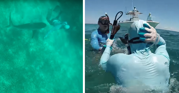 Un tiburón le muerde en la cabeza a un hombre que hacía pesca submarina en las Bahamas