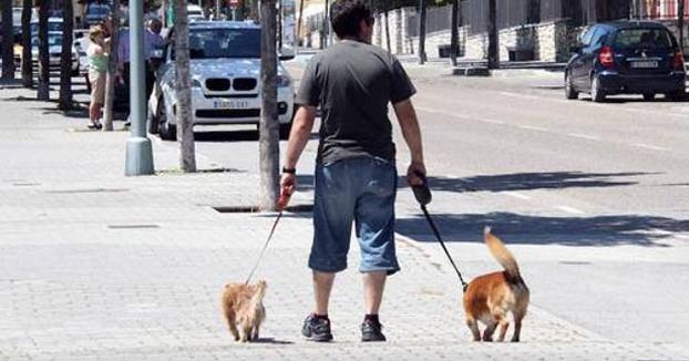Un municipio de Málaga obliga a limpiar los restos de orina de las mascotas en la calle
