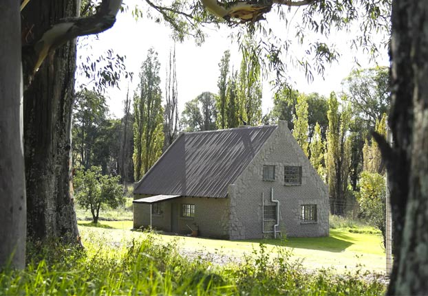 Lion House: Una casa en alquiler donde los visitantes viven rodeados por más de 70 leones