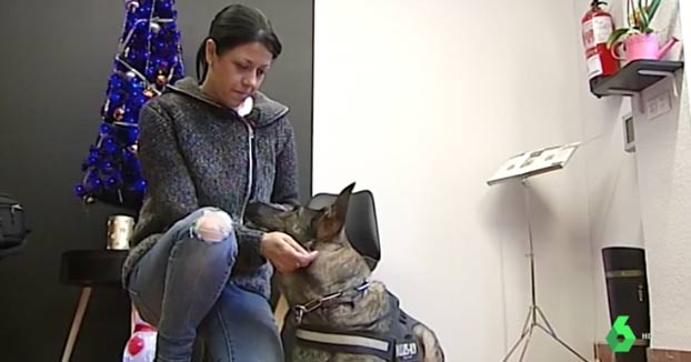 Silvia pide que su perro sea su escolta por miedo a su maltratador que va a salir de prisión. "Si yo le doy la orden, Sugi le mordería"