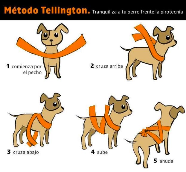 El truco para evitar que tu perro se asuste con los fuegos artificiales o los petardos