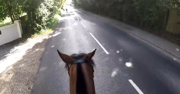 Multan con más de mil euros a un ciclista que adelantó a un caballo de manera temeraria