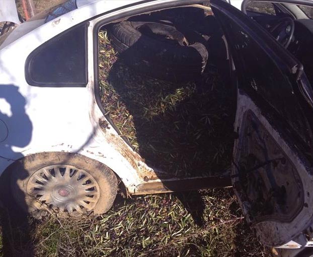 Interceptado en Badajoz un coche con 800 kilos de aceitunas robadas tras una persecución