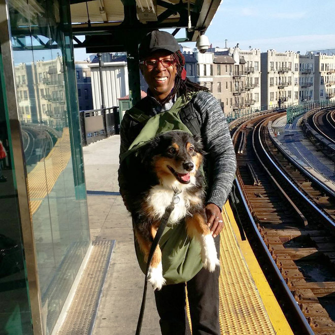 El metro de Nueva York prohíbe la entrada a los perros a no ser que vayan en una bolsa y esto es lo que hacen los dueños...