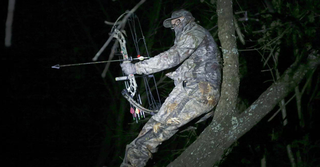 Arqueros profesionales harán guardias nocturnas en los alrededores de Lugo para abatir a los jabalíes