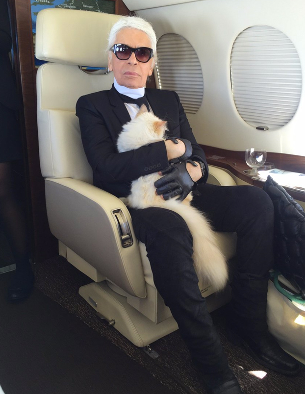 Choupette, la gata que heredará parte de la millonaria fortuna de Karl Lagerfeld