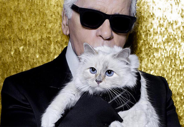 Choupette, la gata que heredará parte de la millonaria fortuna de Karl Lagerfeld