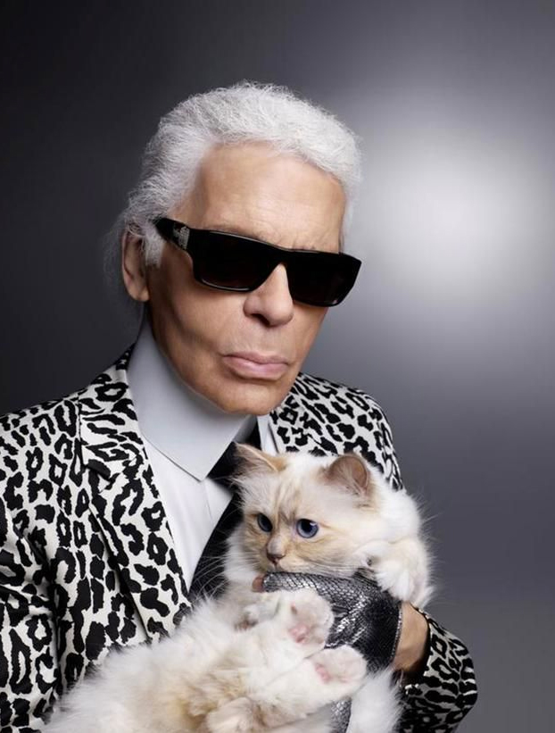 Choupette, la gata que heredará parte de la millonaria fortuna de Karl Lagerfeld