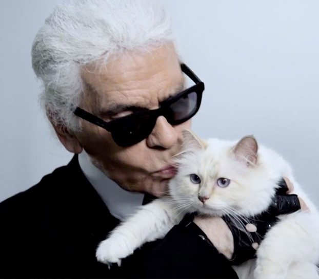 Choupette, la gata que heredará parte de la millonaria fortuna de Karl Lagerfeld