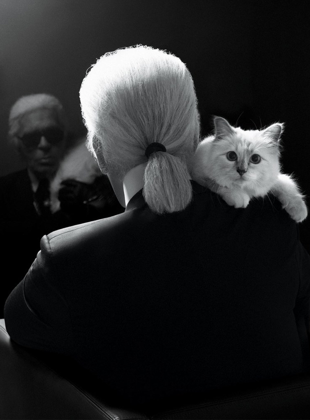 Choupette, la gata que heredará parte de la millonaria fortuna de Karl Lagerfeld