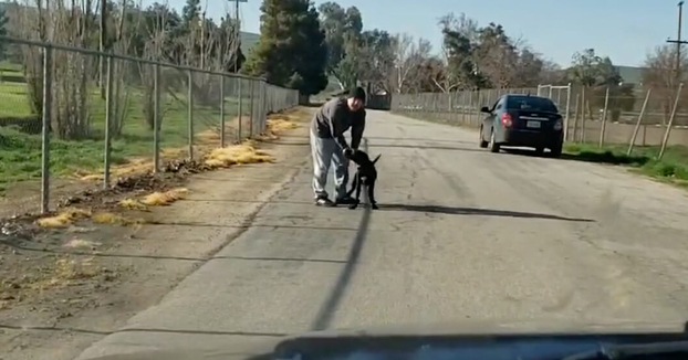 Un conductor graba como otro hombre abandona a su perro en mitad de una carretera