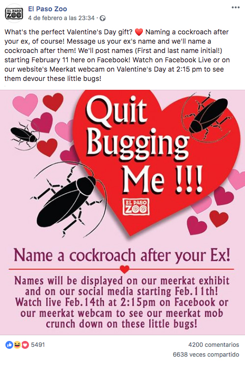 Especial San Valentín: Un zoo da la oportunidad de poner el nombre de tu ex a una cucaracha que luego servirá de alimento para una suricata