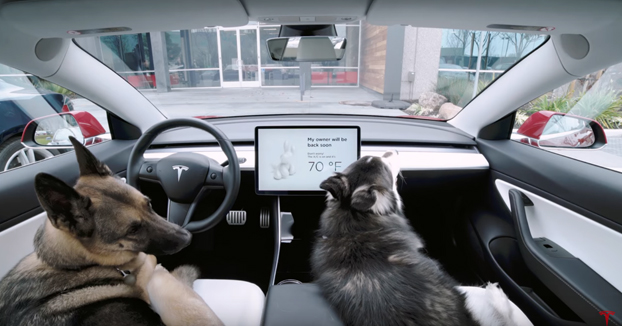 Tesla lanza el Dog Mode, un sistema que regula la temperatura del interior del coche para cuando un perro se quede dentro durante un recado