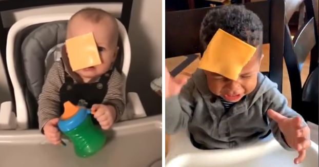 Cheesed Challenge: el polémico reto viral que consiste en tirar lonchas de queso a bebés