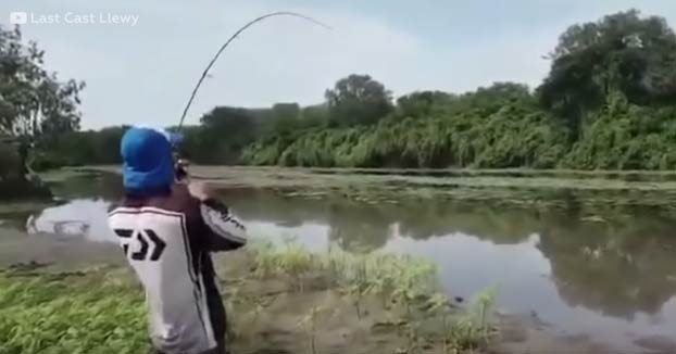 ''¡Corre, Daniel, corre!'': Dos pescadores consiguen atrapar un gran pez y un cocodrilo sale corriendo detrás de él