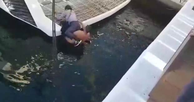 Un hombre en libertad bajo fianza salva de ahogarse a una mujer que se cayó al agua en Puerto Banús