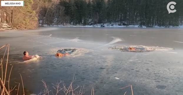 Un hombre y su perro rescatan a otros dos perros que se quedaron atrapados en un lago congelado