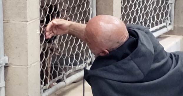 Un hombre sin hogar tirado en el suelo intentando acariciar a sus perros con hora programada para ser sacrificados