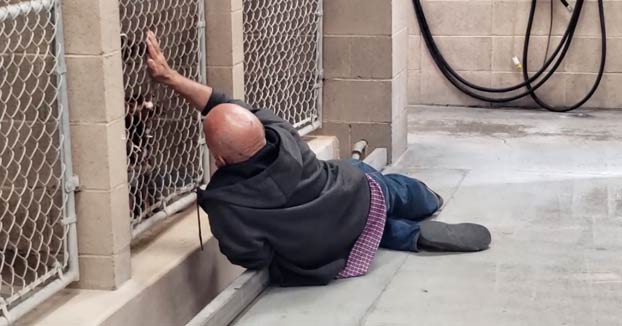 Un hombre sin hogar tirado en el suelo intentando acariciar a sus perros con hora programada para ser sacrificados