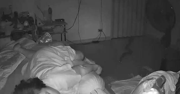 Una serpiente entra en la habitación de noche y muerde a una anciana mientras dormía