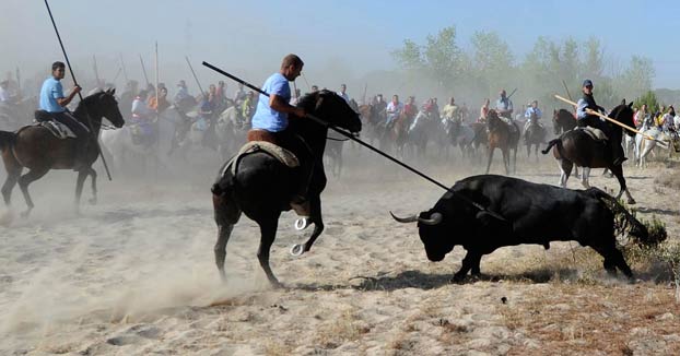 El Tribunal Supremo acaba para siempre con el Toro de la Vega