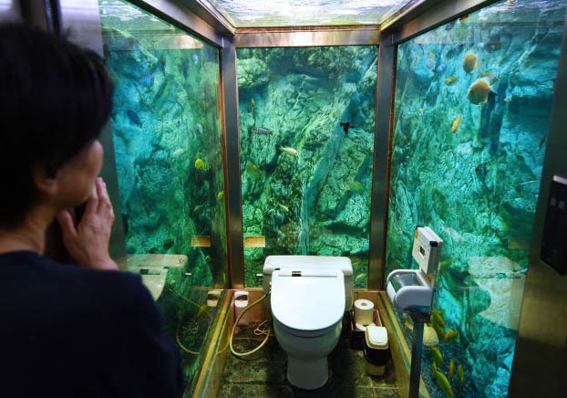 Así es el famoso baño acuario de Japón: Solo para mujeres, rodeado de agua y con cientos de peces mirándote