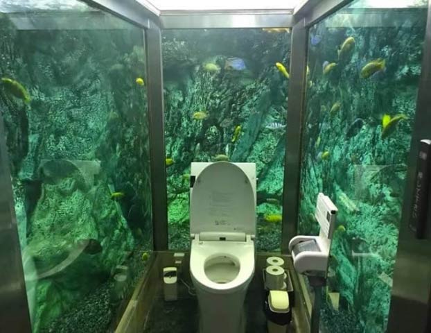 Así es el famoso baño acuario de Japón: Solo para mujeres, rodeado de agua y con cientos de peces mirándote